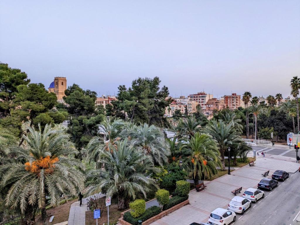 Comunidad Valenciana 31 - Elche