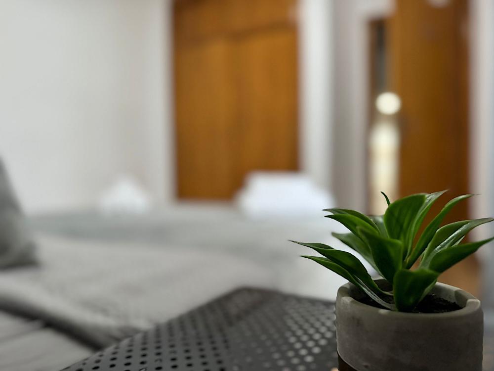 whatsapp_image_2023-10-19_at_19