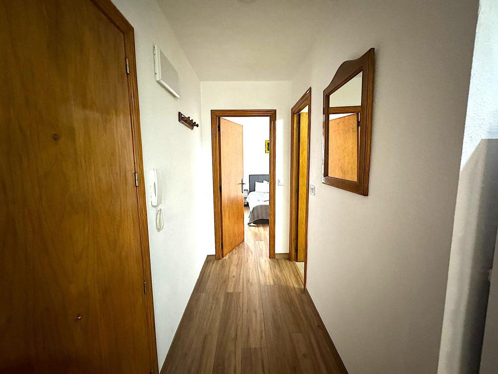 whatsapp_image_2023-10-19_at_19