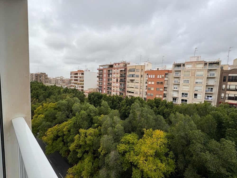 whatsapp_image_2025-03-25_at_09