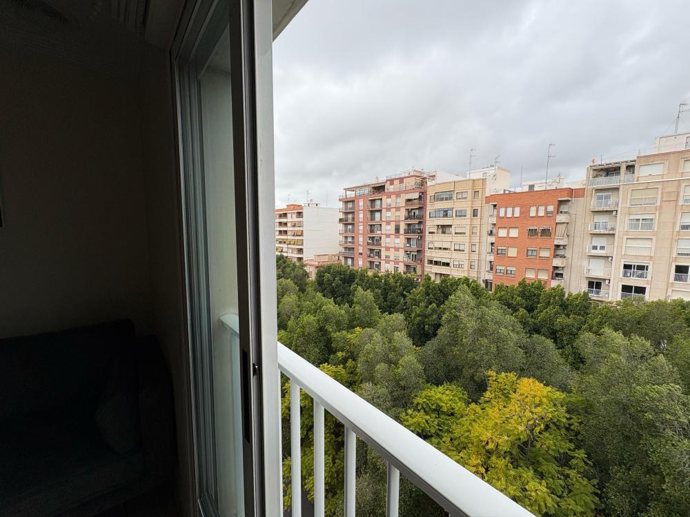 whatsapp_image_2025-03-25_at_09