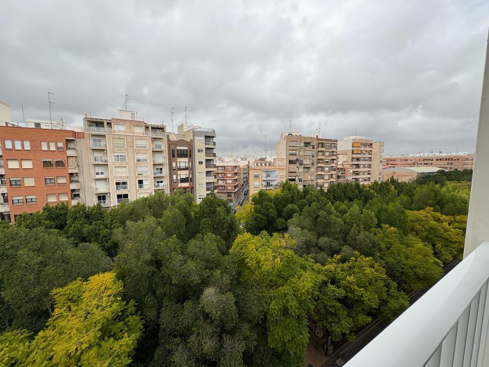 whatsapp_image_2025-03-25_at_09