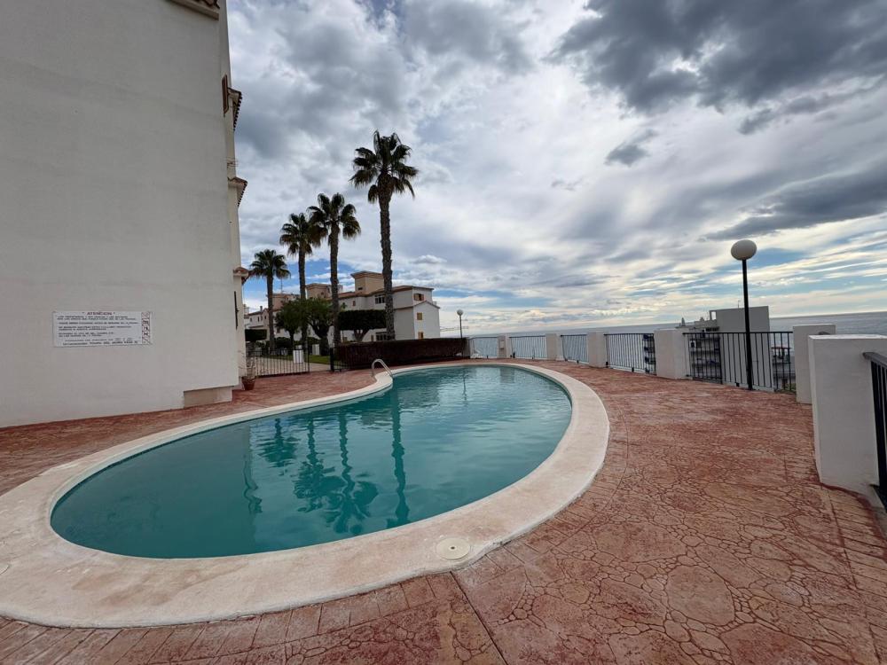 whatsapp_image_2026-02-18_at_17