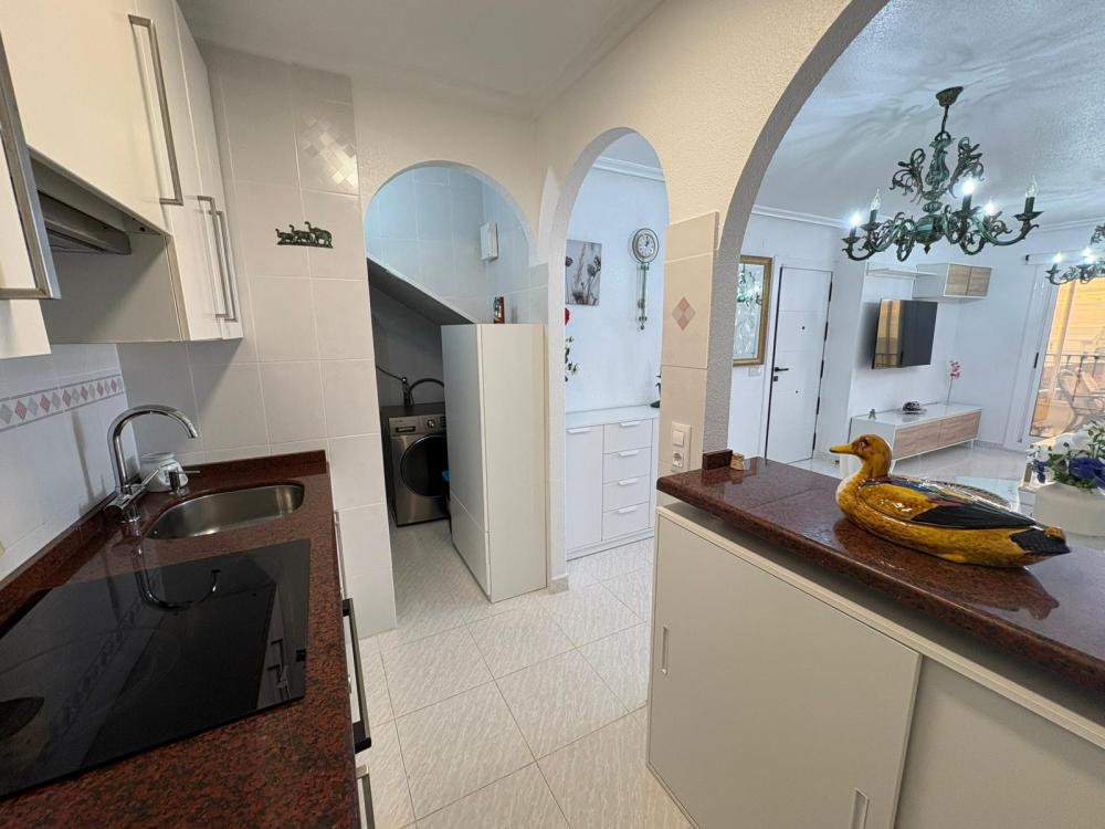 whatsapp_image_2026-02-18_at_17