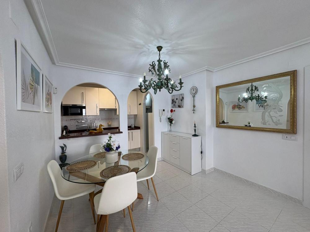 whatsapp_image_2026-02-18_at_17