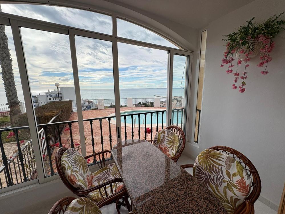 whatsapp_image_2026-02-18_at_17