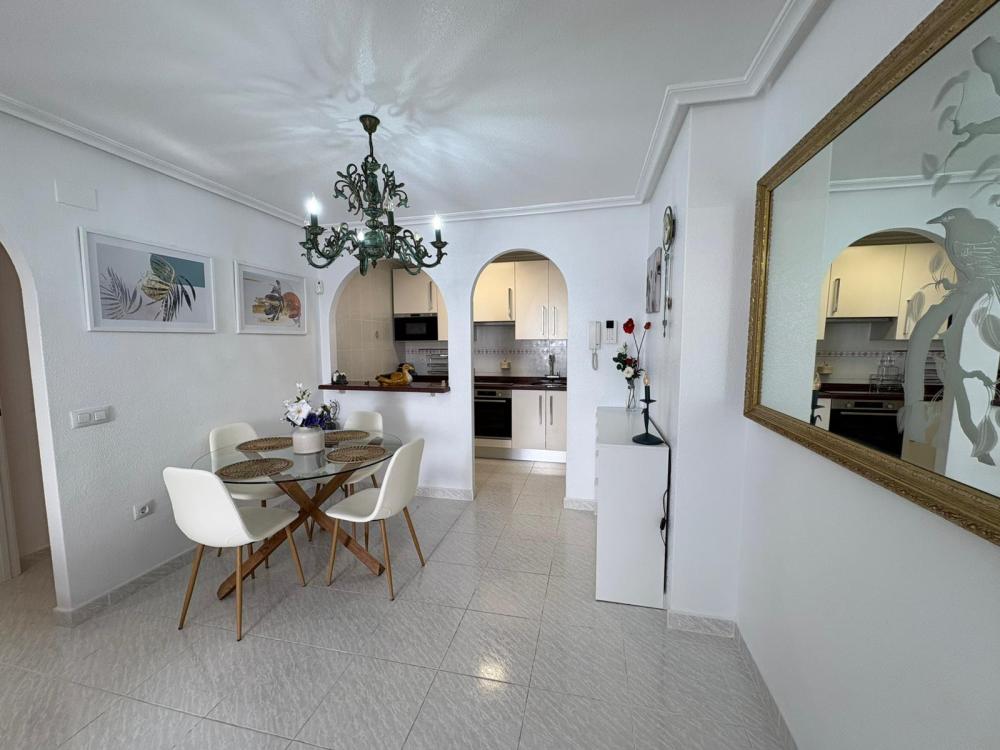 whatsapp_image_2026-02-18_at_17