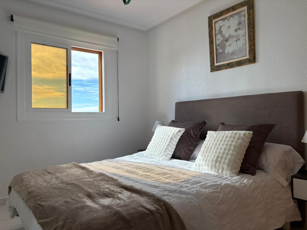 whatsapp_image_2026-02-18_at_17