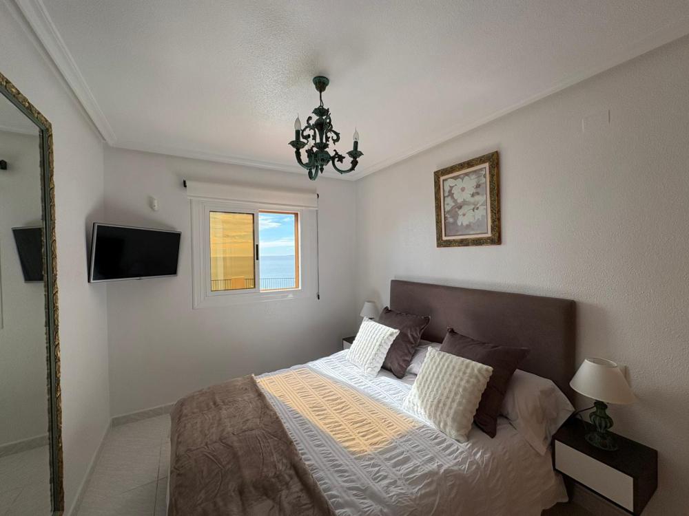 whatsapp_image_2026-02-18_at_17