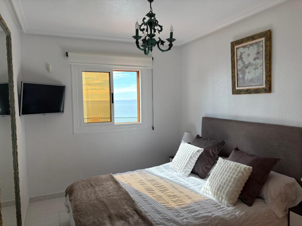 whatsapp_image_2026-02-18_at_17